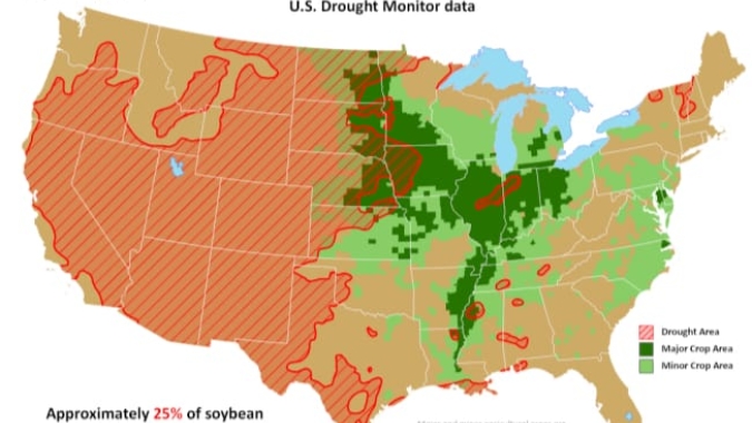 USDA: Outlook Forum deve confirmar áreas maiores nos EUA com grãos, mas impacto pode ser limitado