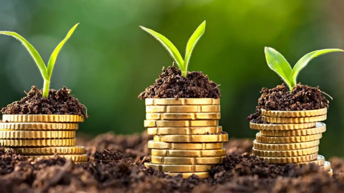 Funrural terá aumento de alíquotas a partir de 1º de abril e Receita deve intensificar fiscalização no campo