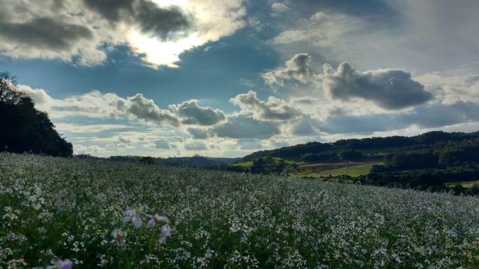 Inverno no Hemisfério Sul começa no dia 21 de junho