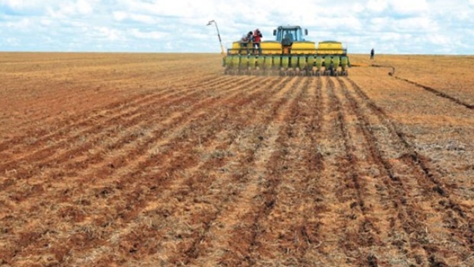 AgRural: Limitado por estiagem e calor, plantio de soja vai a 2% no Brasil