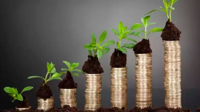 Reforma Tributária: Aumento do custo de produção, aumento na cesta básica, aumento da carga tributária, diminuição da renda do produtor