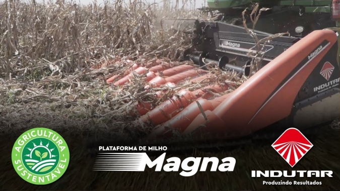 Plataforma de milho Magna, da Indutar, mostra eficiência na colheita do milho tombado no  MS