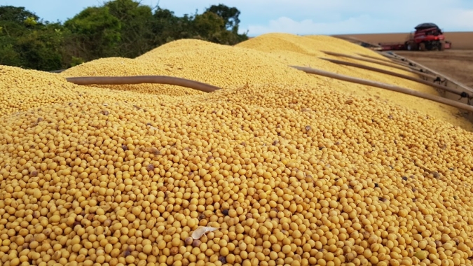 Conab: Produção brasileira de grãos deve chegar a 268,3 milhões de toneladas
