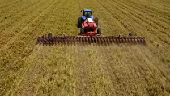 Plantio de soja em MT atinge 93,72% da área, acima da média histórica, diz Imea