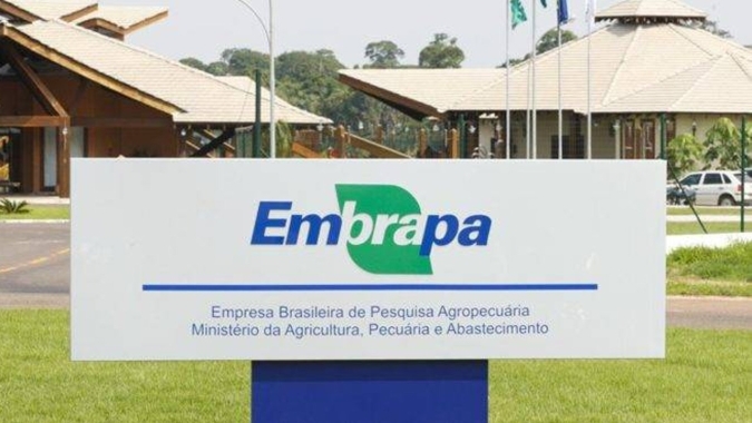 Embrapa entrega documento ao presidente da COP30 com contribuições para o Mutirão Global Contra a Mudança do Clima