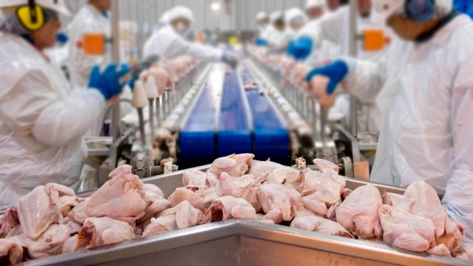 OCDE e FAO projetam que carne de aves deve ser a mais consumida até 2030