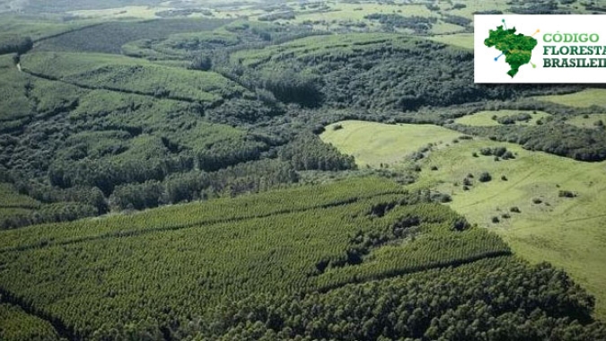 "A agricultura brasileira é de baixo carbono", diz deputado Marcelo Ramos