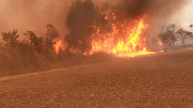 Comissão aprova desconto no ITR para imóvel rural que tenha brigada voluntária de incêndio