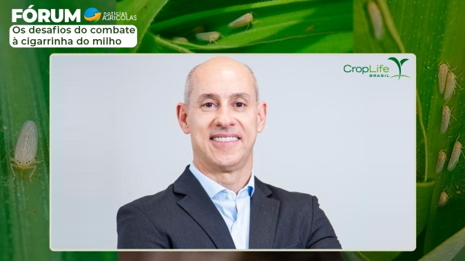 A importância de proteger as abelhas resulta numa lavoura mais abundante, com mais floradas
