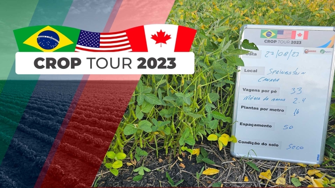 Direto da província de Manitoba, no Canadá, time do Crop Tour registra irregularidade da safra 2023/24 de soja