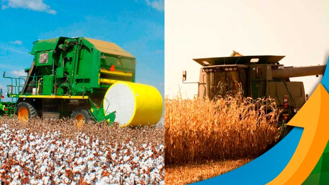 Colheita do milho avança rápido no Mato Grosso enquanto trabalhos se iniciam no algodão