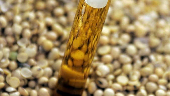 Setor de biodiesel do Brasil diz estar pronto para B12, aliviando importação de diesel
