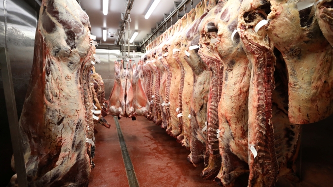 Marfrig recebe novas habilitações para exportar carne bovina