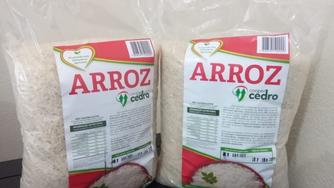 Arroz sem uso de defensivos agrícolas será lançado nesta sexta-feira (13) em Santa Maria