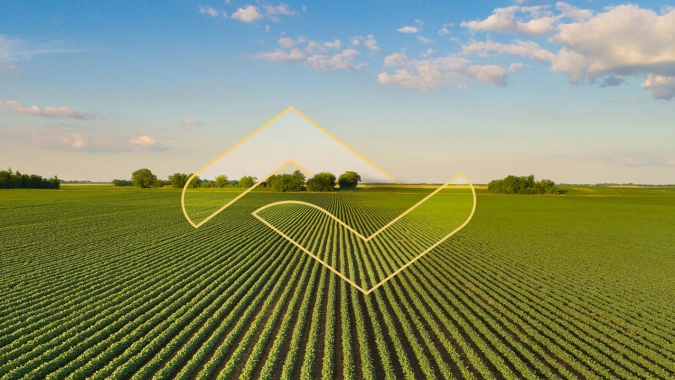 Seguro Agrícola: por que você precisa dele?
