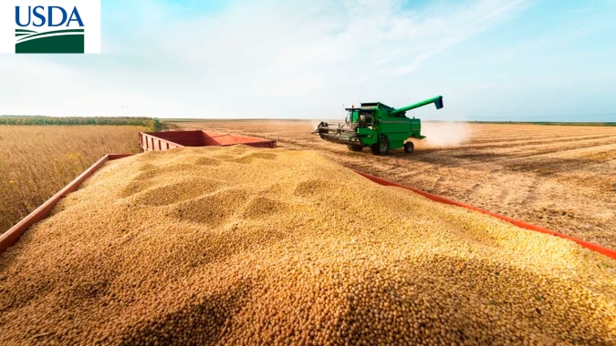 USDA informa nova venda de soja de mais de 120 mil t