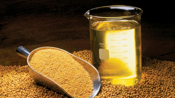 USDA informa venda de óleo de soja para o Egito