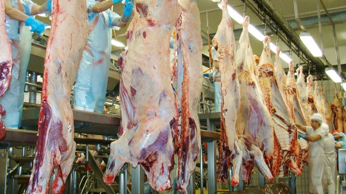 Boi: Volume de animais abatidos no Mato Grosso registra queda 4,53% em Fevereiro/21