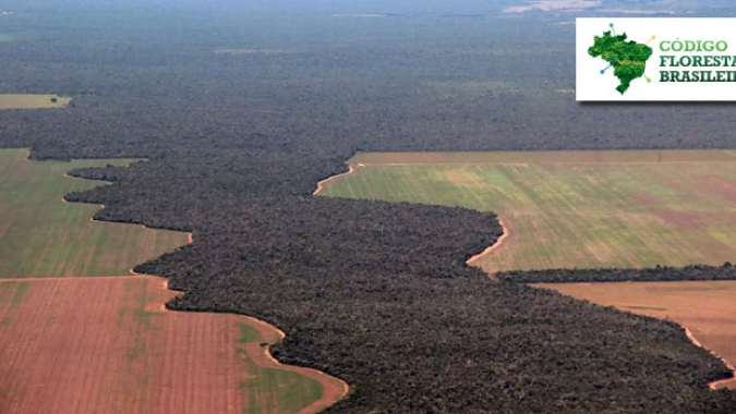 Código Florestal: STJ tem burlado a decisão proferida pelo Plenário do STF