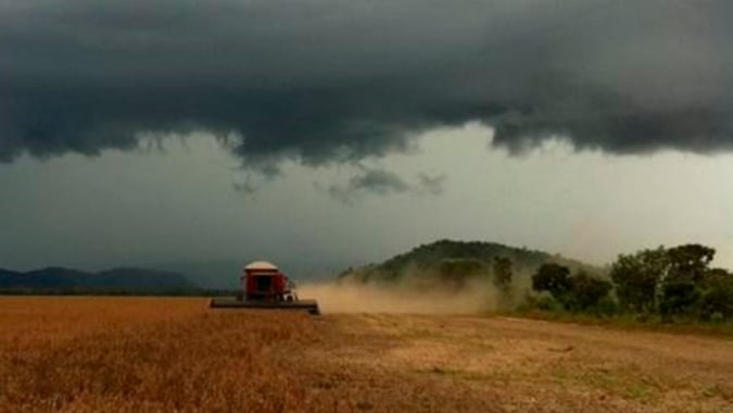 Chuvas limitam avanço da colheita da safra de soja e milho do Brasil