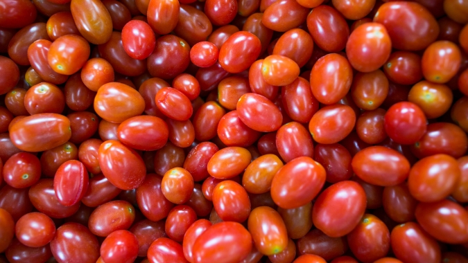 Conab destaca tomates mais baratos e aumento da exportação de frutas