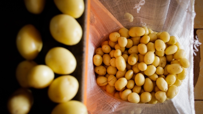 Batata/Cepea: Oferta se reduz em março, mas pandemia prejudica a demanda