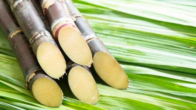 Apetite dos fundos pelas commodities fez açúcar em NY se aproximar dos US$ 18 c/lb