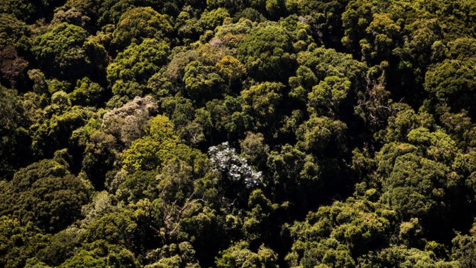 CNA e Serviço Florestal Brasileiro debatem análise dinamizada do CAR