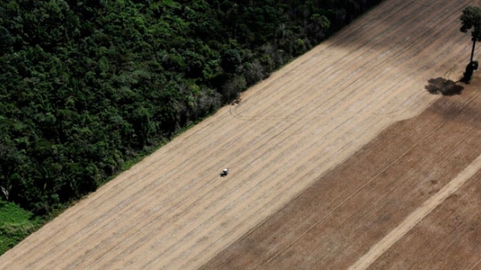 Pequenas empresas aquícolas podem ser liberadas de licenciamento ambiental