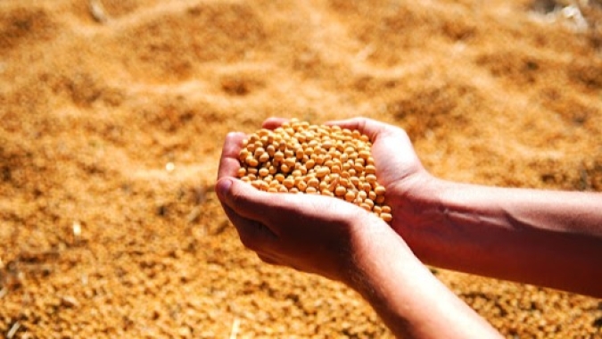 Empresa gaúcha de agronegócio Três Tentos pede registro para IPO