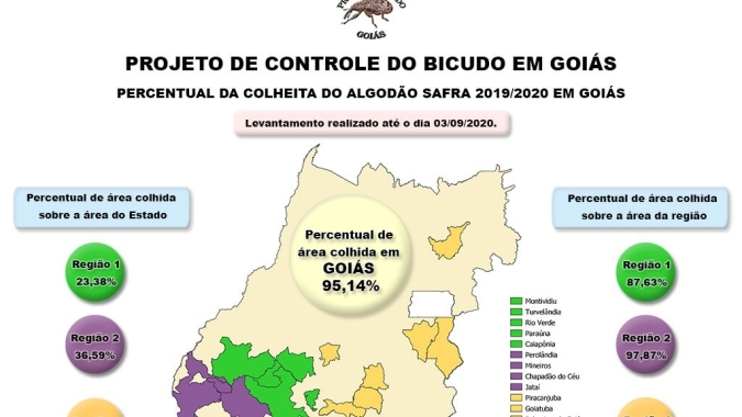 Colheita de algodão entra na reta final em Goiás