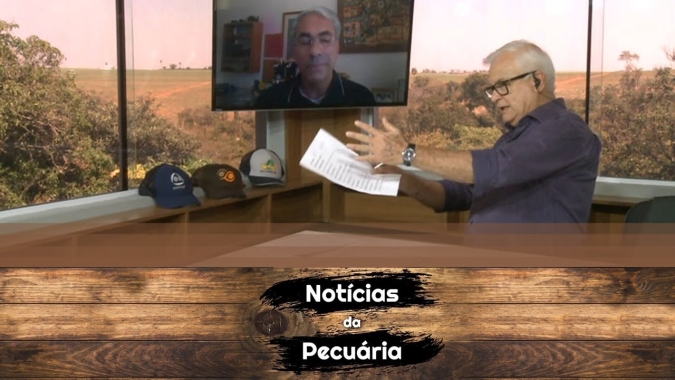 Mercado do boi gordo sustenta preços entre R$ 225 e R$ 230 em SP