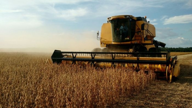 Soja: mais de 28% da área estimada já foi colhida em Mato Grosso do Sul