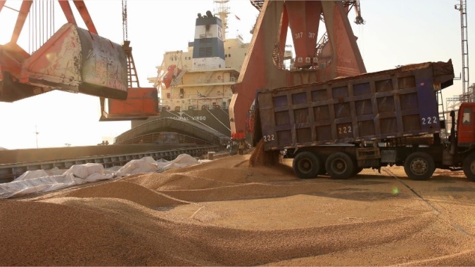 Brasil vende 1,3 mi de t de soja em apenas um dia e país lidera isolado as exportações