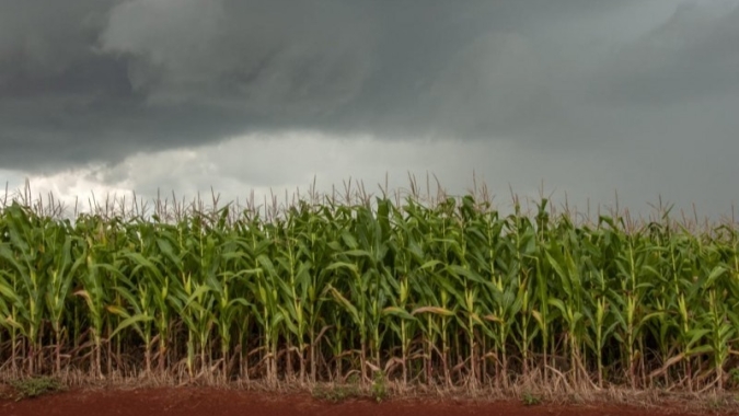 Sec. de Agricultura de SP e Fundação de Apoio à Pesquisa Agropecuária fazem alerta para as condições climáticas para 2021