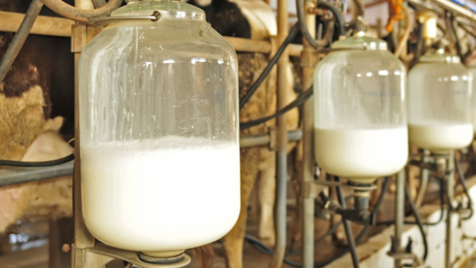 Aumento nos custos de produção da pecuária leiteira