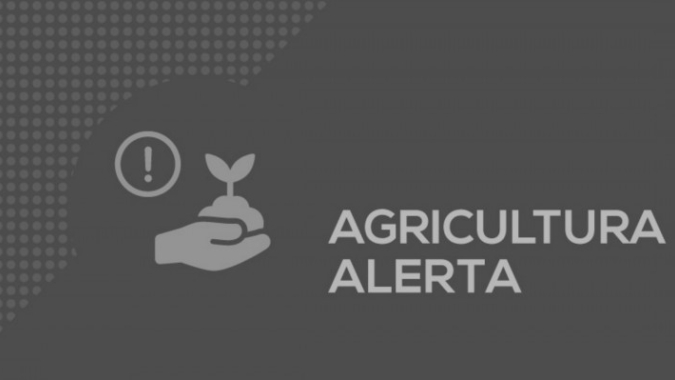 Secretaria da Agricultura do RS alerta sobre nova onda de golpes