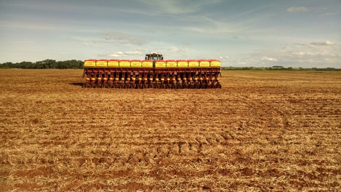 Condições climáticas não colaboram para avanço do plantio do milho no MS, relata Famasul
