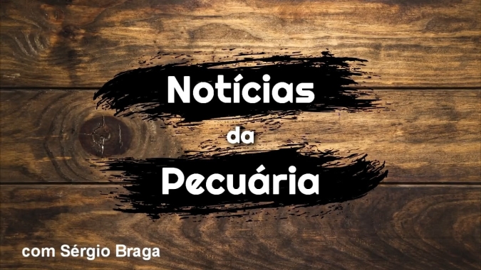 Produtores de bovinos e suínos projetam nova alta de preços para agosto