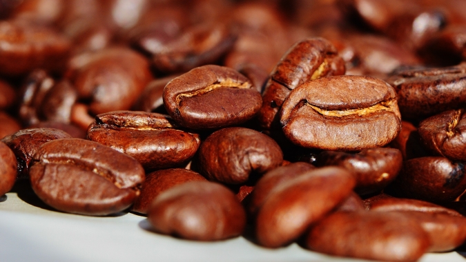 Projeto da Epamig vai transformar a cafeicultura em Minas Gerais