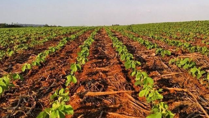 Conab estima safra de soja 21/22 do Brasil em 141,26 mi t; vê salto de 33,8% no milho