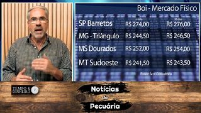 Boi gordo bate os R$302 na B3 e sobe R$5,00 em São Paulo