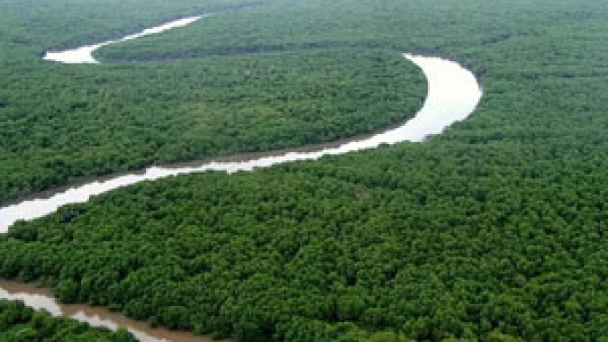 Agência Brasil explica o que é e como funciona o mercado de carbono