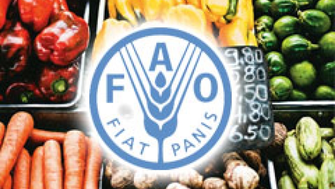 Preços globais de alimentos sobem em janeiro, aponta FAO