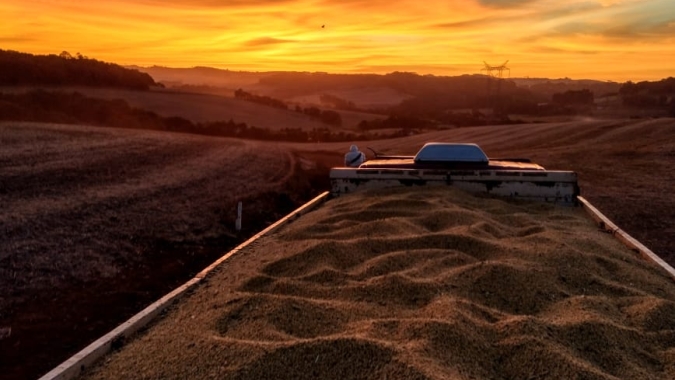 Freto registra aumento de 39% no movimento de cargas do Agro em setembro
