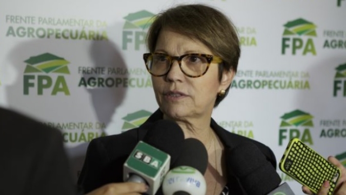 Braga Netto e Tereza Cristina são "cotadíssimos" para vice, diz Bolsonaro