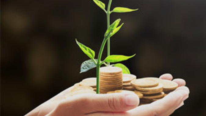 Valor da Produção Agropecuária de 2022 está estimado em R$ 1,241 trilhão