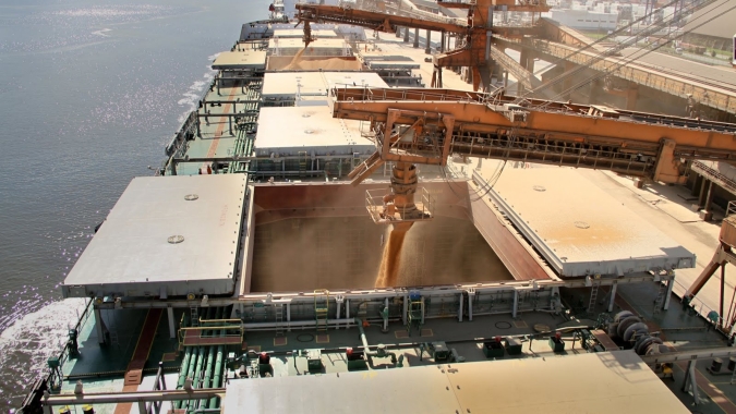 Soja: Exportação brasileira perde ritmo em junho, mas acumulado do ano é recorde