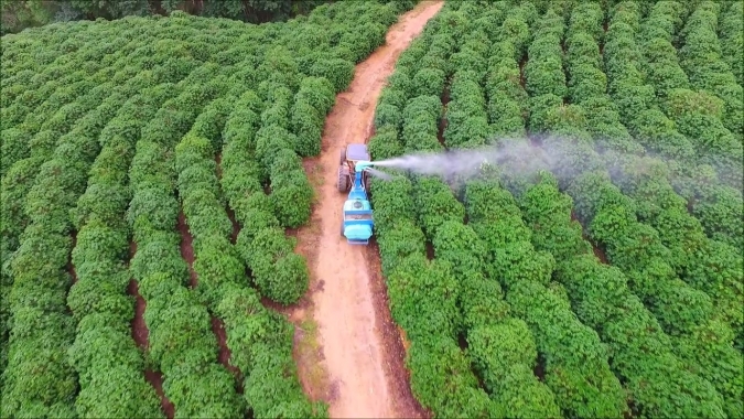 Impacto Econômico Global de Limites Máximos de Resíduos (LMRs) de Pesticidas Ausentes e Baixos