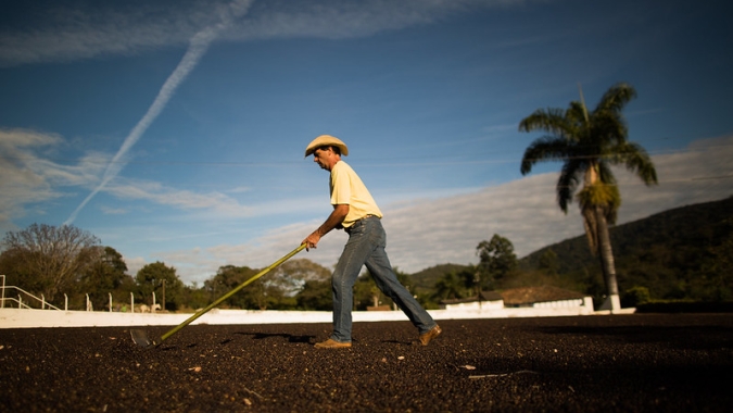 Sustentabilidade e diversidade: Como o café brasileiro vem trabalhando para manter confiança em parceiros consolidados e conquistar novos mercados